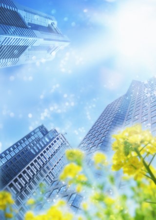 View on the sky with skyscrapers and yellow flowers