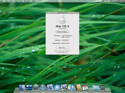 Mac OS X Leopard desktop featuring the sharp blades grass wallpaper