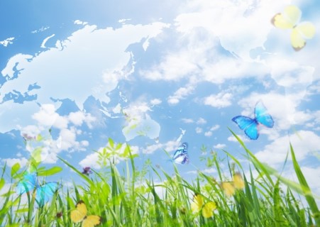 Image of a map of earth in the sky with grass on the ground and butterflies flying around