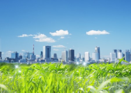 Macro image of grass with a large city in the background