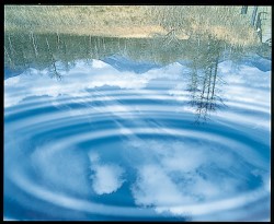 Blue And Green - Image 100