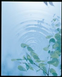 Blue And Green - Image 107