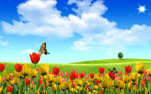 Nature Wallpaper 8